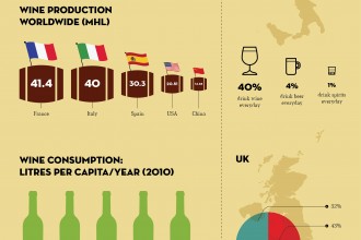 Wine infographics
